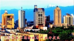 烏魯木齊國家高新區(qū)發(fā)展現狀及“十三五”規(guī)劃