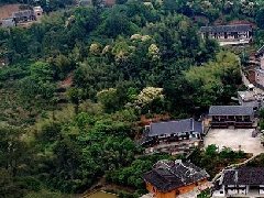 宜賓國家農業科技園區 發揮導師所長 專業服務企業