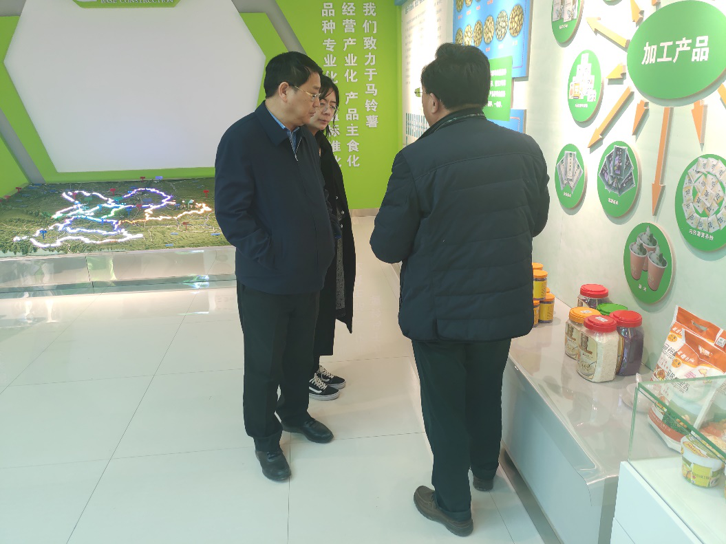 “中國薯都”再奏新旋律,定西市安定區(qū)開啟馬鈴薯產(chǎn)業(yè)發(fā)展新篇章