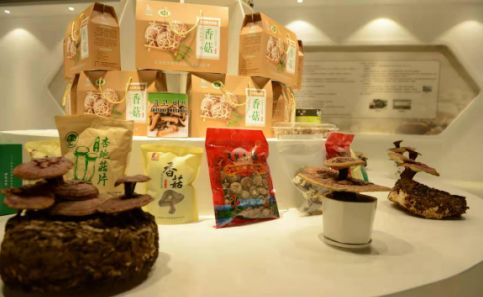 依托蘋(píng)果和香菇兩大特色優(yōu)勢(shì)產(chǎn)業(yè),萬(wàn)榮縣積極申創(chuàng)國(guó)家農(nóng)業(yè)現(xiàn)代化示范區(qū)